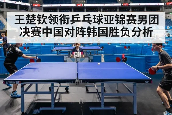 table tennis competition